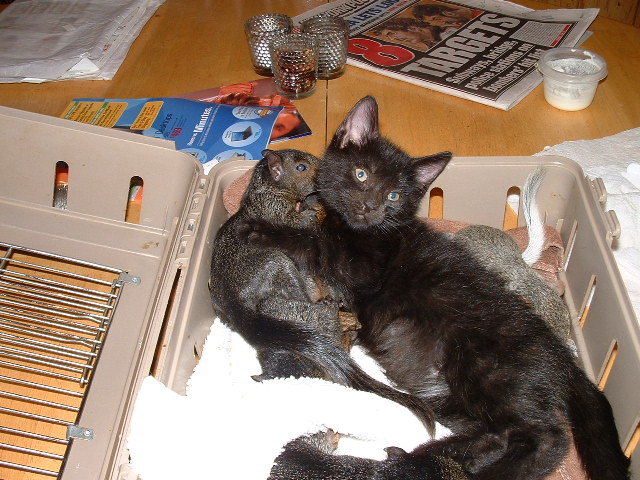 dscf0080.JPG